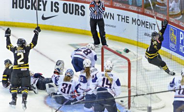 IIHF 2013 kadınlar buz hokeyi Dünya Şampiyonası