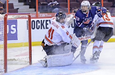IIHF 2013 kadınlar buz hokeyi Dünya Şampiyonası