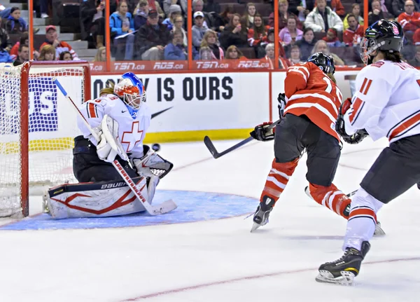 Чемпіонат світу з хокею IIHF 2013 жінок — стокове фото