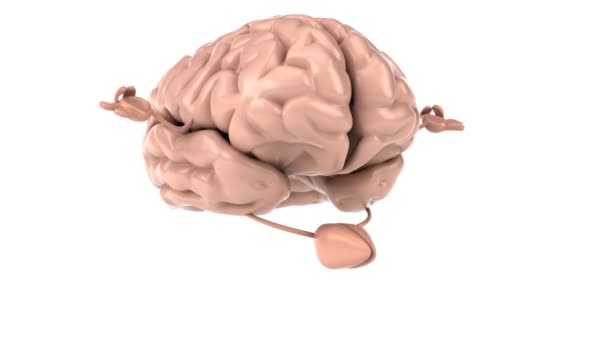 禅宗的大脑 — 图库视频影像