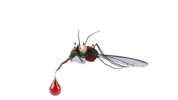 Mosquito divertido — Vídeos de Stock