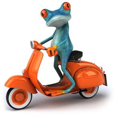 bir scooter üzerinde kurbağa