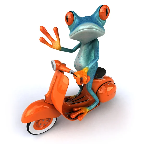 Frog on a scooter — Stock Photo, Image