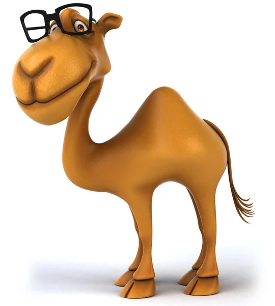 Camelo divertido — Fotografia de Stock
