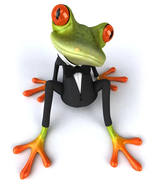 Zabawa żaba siedzi — Zdjęcie stockowe