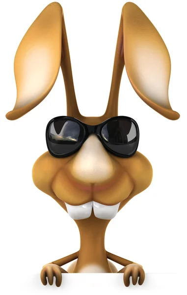 Fun rabbit — Stock Photo, Image