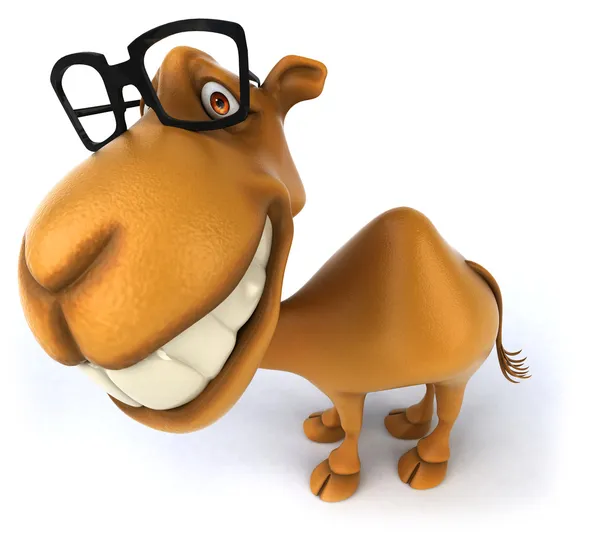 Fun camel — Stock Photo, Image