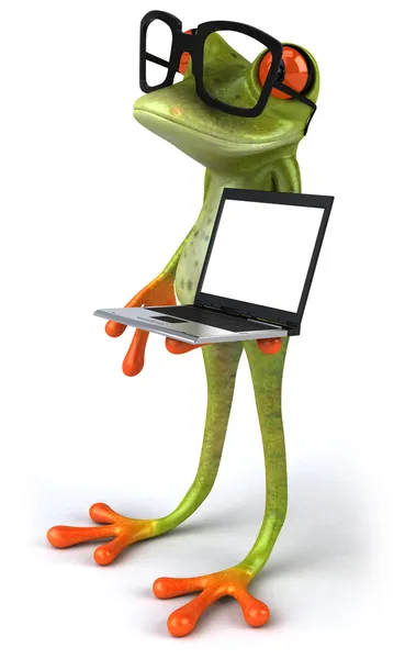 Kurbağa laptop ile eğlenceli bir — Stok fotoğraf