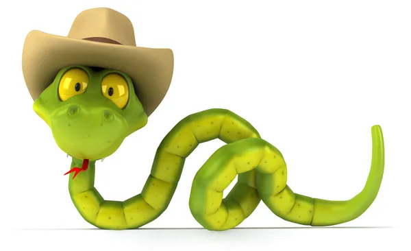 Snake — Stock Photo, Image