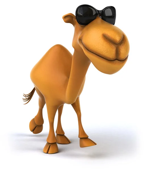 Fun camel — Stock Photo, Image