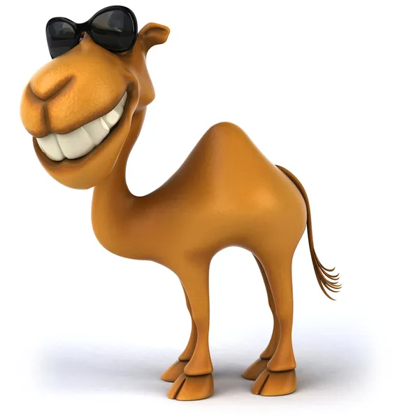 3 271 Fun Camel Stock Photos Images Download Fun Camel Pictures On Depositphotos