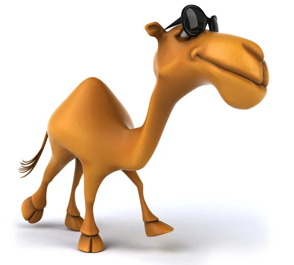 Διασκέδαση καμήλα — Φωτογραφία Αρχείου