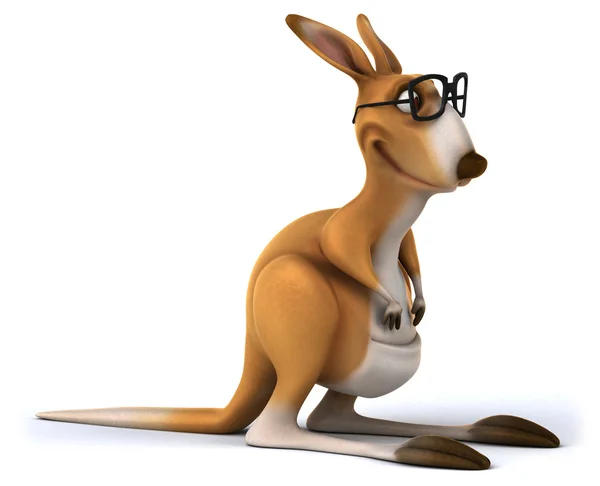 Fun kangaroo — Stock Photo, Image