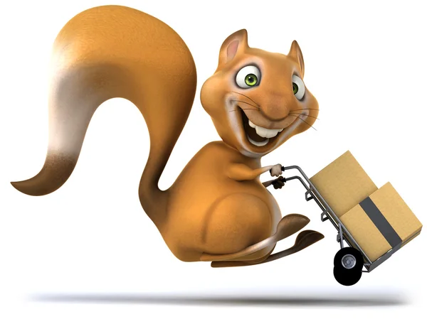 Fun squirrel mver — Stock Photo, Image