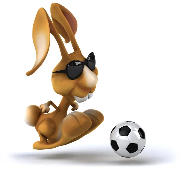 Fun rabbit — Stock Photo, Image