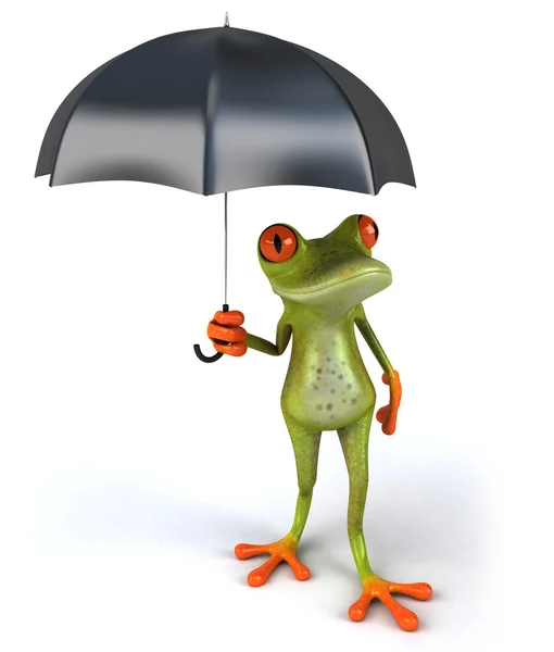 Grenouille peur de la pluie — Photo