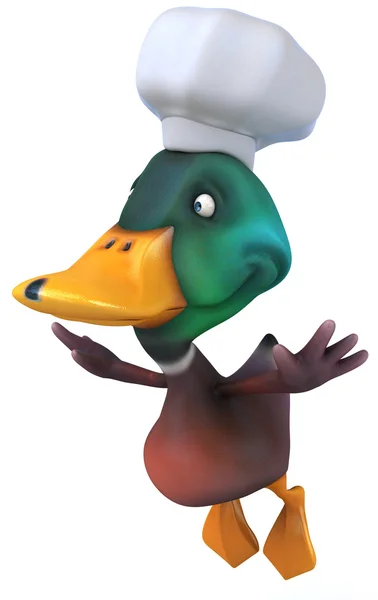 Divertido pato chef —  Fotos de Stock