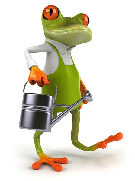 Frog gardener — Stock Photo, Image