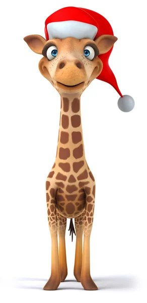 Giraffe — Stock Photo, Image