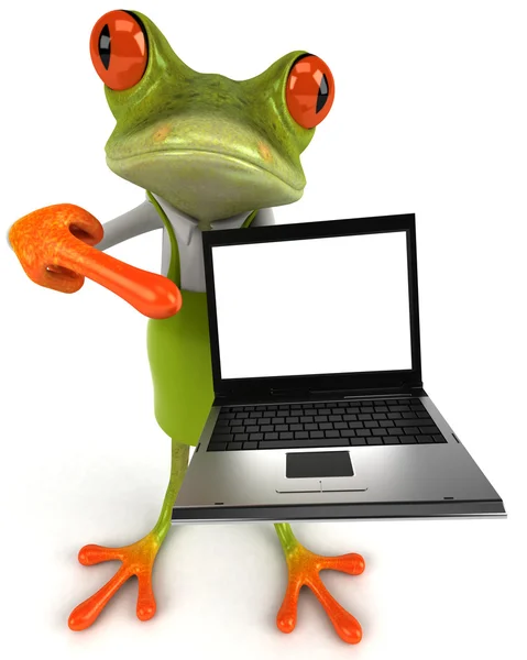 Frog with laptop — Stock Photo, Image