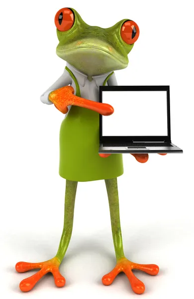 笔记本电脑的青蛙 — 图库照片