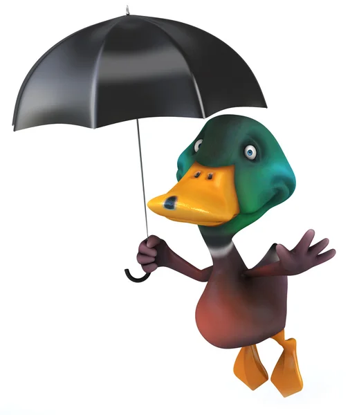 Duck — Stock Photo, Image