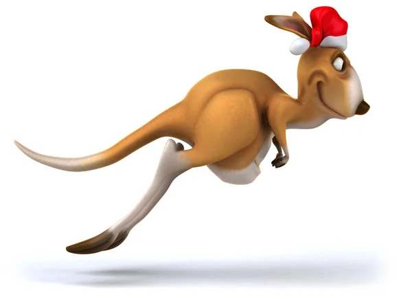 Fun kangaroo — Stock Photo, Image