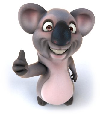 Koala eğlenceli