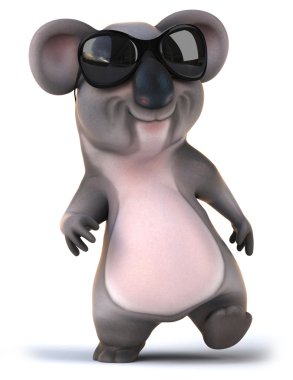 Koala eğlenceli