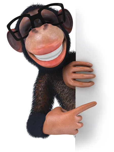 Monkey — Stock Photo, Image