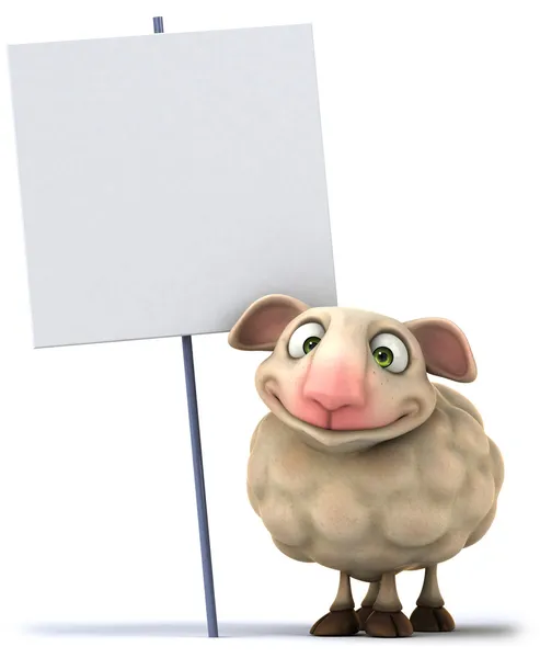 Sheep — Stock Photo, Image