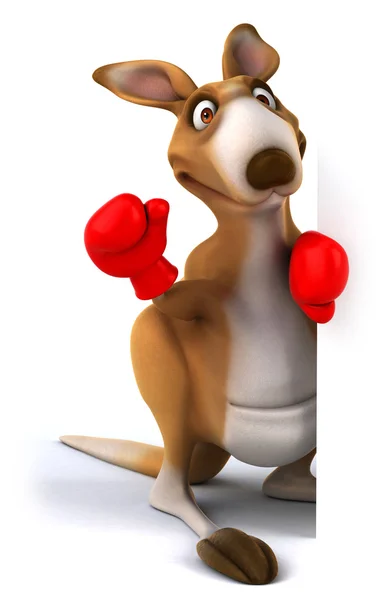 Kangaroo — Stock Photo, Image