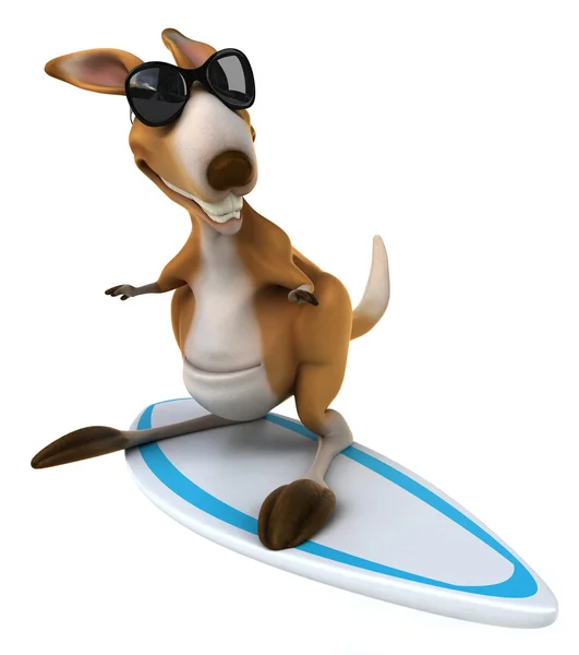 Fun kangaroo — Stock Photo, Image