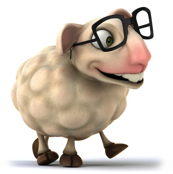 Schafe — Stockfoto