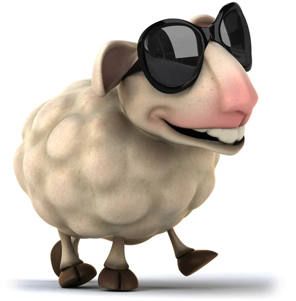 Cool Sheep — Stock Photo, Image