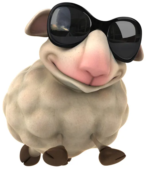 Coole Schafe — Stockfoto