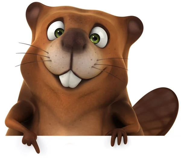 Beaver — Stock Photo, Image