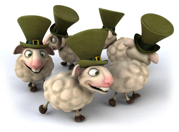 Group of Irish sheep — Stock Photo, Image