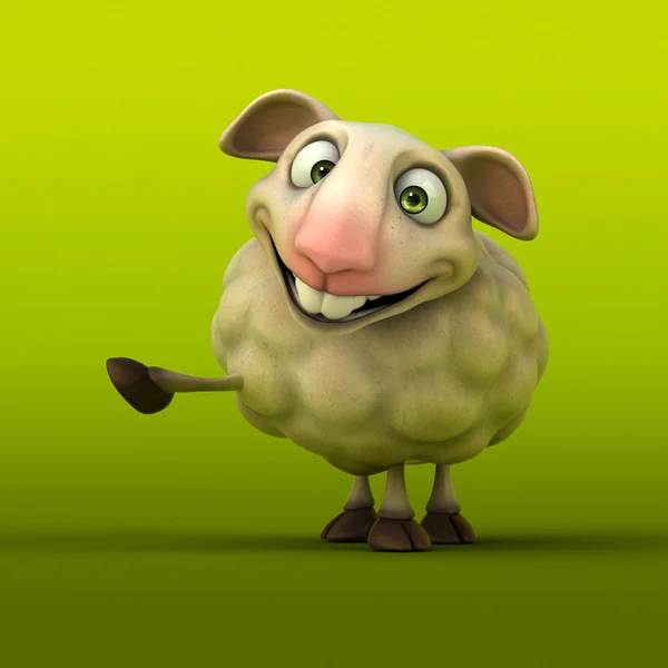 Sheep — Stock Photo, Image