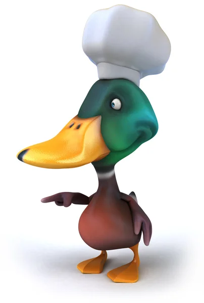 Duck — Stock Photo, Image