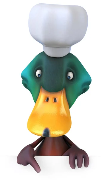 Duck — Stock Photo, Image