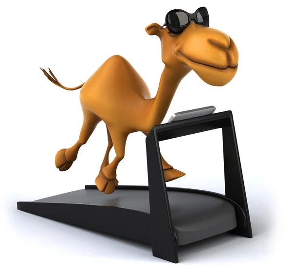 Fun camel — Stock Photo, Image