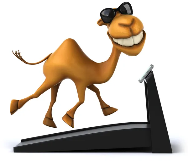 Fun camel — Stock Photo, Image