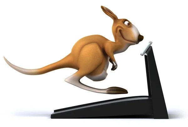 Szórakoztató kenguru — Stock Fotó