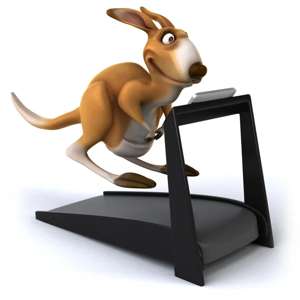 Fun kangaroo — Stock Photo, Image