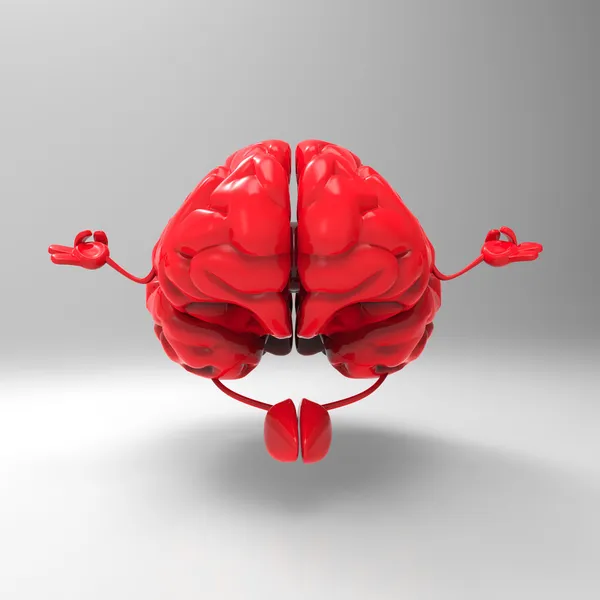 Дзен-мозг — стоковое фото