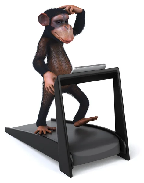 Monkey — Stock Photo, Image