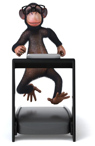 Monkey — Stock Photo, Image