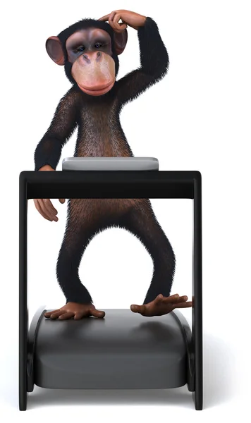 Monkey — Stock Photo, Image