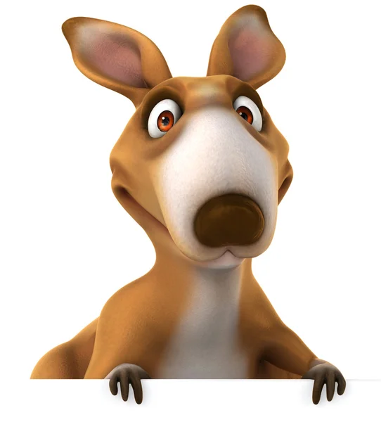 Fun kangaroo — Stock Photo, Image